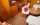 Bateau Occasion Saint Cast le Guildo